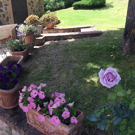 Casa di campagna Lavanda&rosmarino Orvieto